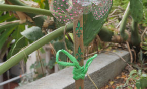 Musée historique de Villèle : Atelier artistique - Journées Européennes du Patrimoine à la Réunion
