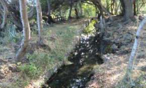 L'Eperon : Balade autour de la ravine Saint-Gilles - Journées Européennes du Patrimoine à la Réunion