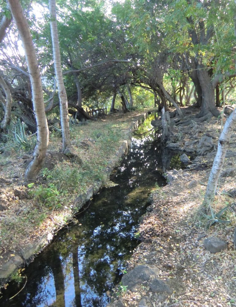 L’Eperon : Balade autour de la ravine Saint-Gilles – Journées Européennes du Patrimoine à la Réunion