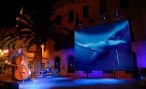 Entrepôt Kervéguen (Maison des TAAF) : Baleine et contrebasse - Journées Européennes du Patrimoine à la Réunion