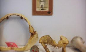 Archives départementales de La Réunion : Inauguration de la résidence d'artiste de Gabrielle Manglou. - Journées Européennes du Patrimoine à la Réunion