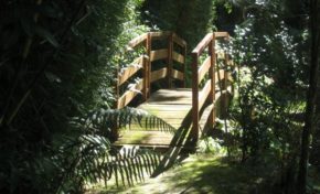 La Vallée Heureuse : Des hommes et des plantes à La Réunion - Journées Européennes du Patrimoine à la Réunion