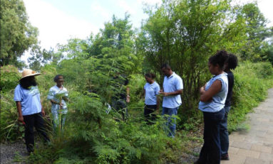 Musée historique de Villèle : Médiation avec l'Académie des Dalons - Journées Européennes du Patrimoine à la Réunion