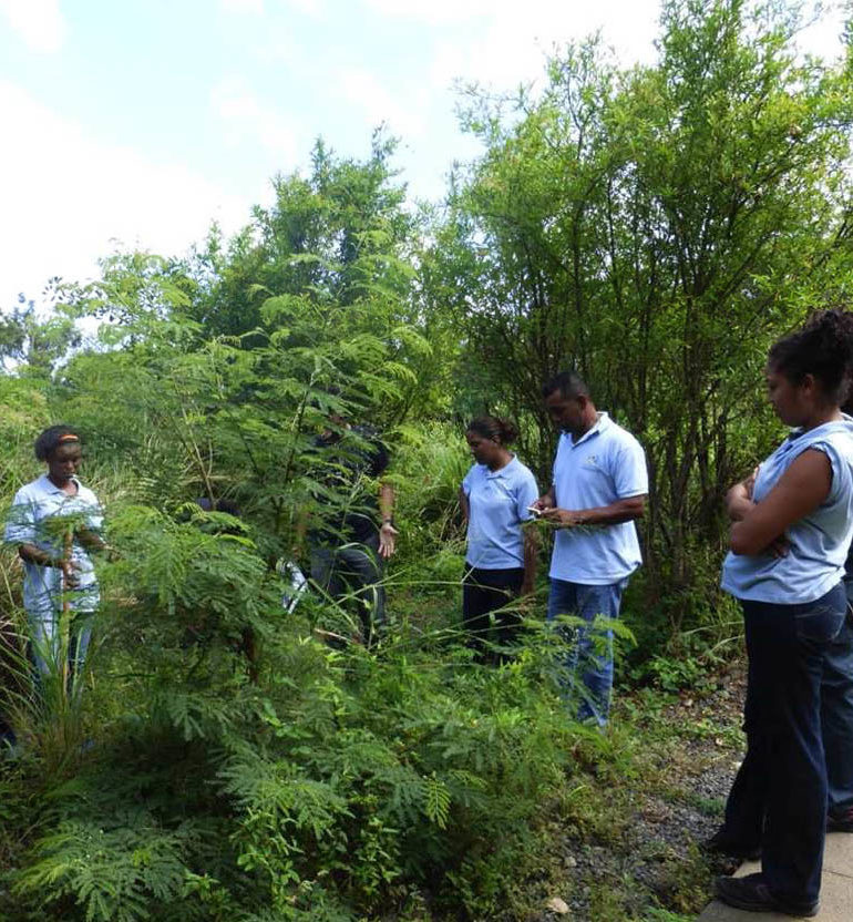 Musée historique de Villèle : Médiation avec l’Académie des Dalons – Journées Européennes du Patrimoine à la Réunion