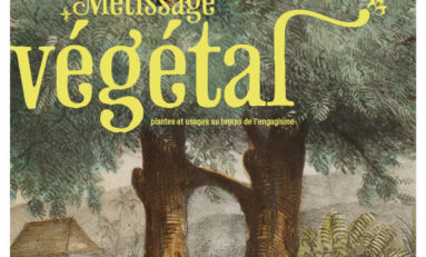 Lazarets de la Grande Chaloupe : Métissage végétal - Journées Européennes du Patrimoine à la Réunion
