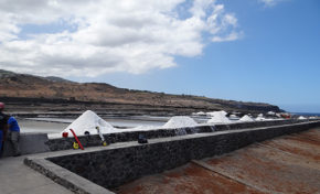 Musée du sel : Restauration des salines de la Pointe au Sel - Journées Européennes du Patrimoine à la Réunion