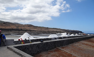 Musée du sel : Restauration des salines de la Pointe au Sel - Journées Européennes du Patrimoine à la Réunion