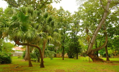 Préserver son patrimoine vert - Journées Européennes du Patrimoine 2016 (Guadeloupe)