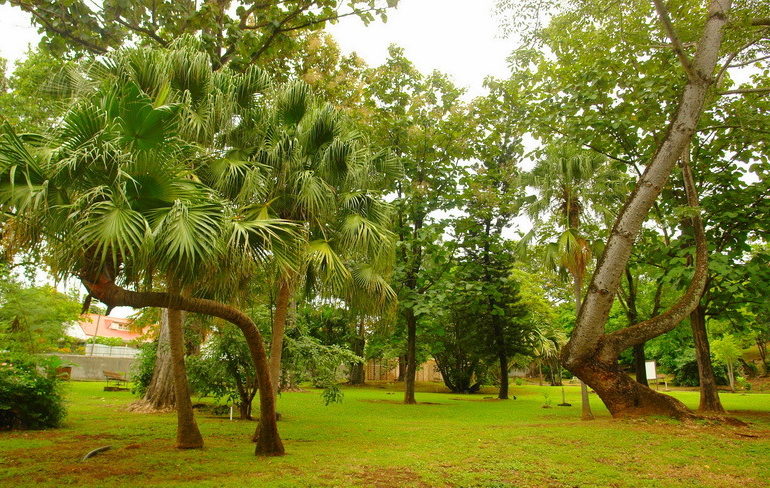 Préserver son patrimoine vert – Journées Européennes du Patrimoine 2016 (Guadeloupe)