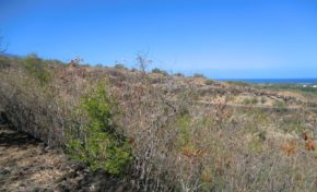 L'Eperon : Randonnée Bruniquel - Journées Européennes du Patrimoine à la Réunion