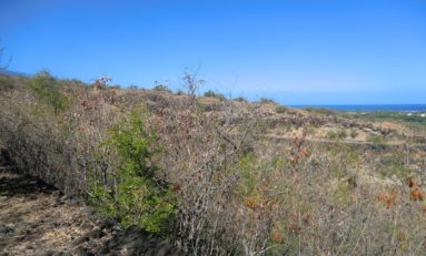 L'Eperon : Randonnée Bruniquel - Journées Européennes du Patrimoine à la Réunion