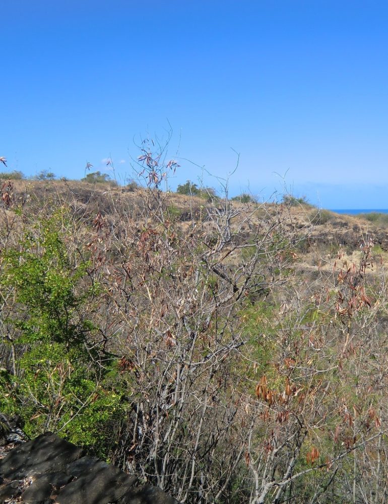 L’Eperon : Randonnée Bruniquel – Journées Européennes du Patrimoine à la Réunion