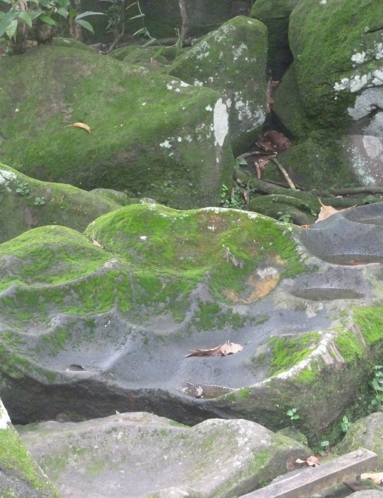 A la découvert du parc des roches gravées – Journées Européennes du Patrimoine 2016 (Guadeloupe)