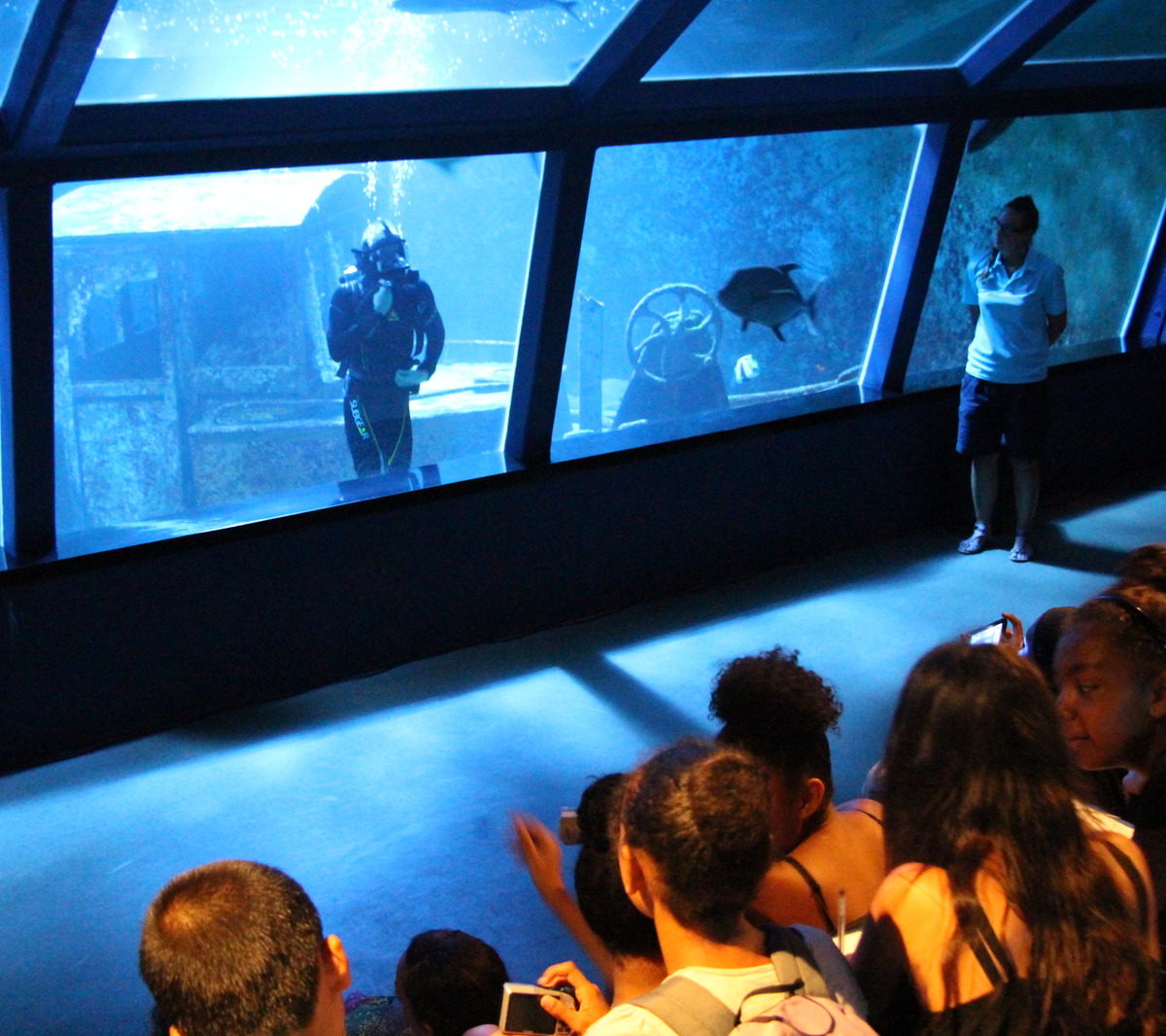 Aquarium de La Réunion Venez découvrir l'aquarium Journées