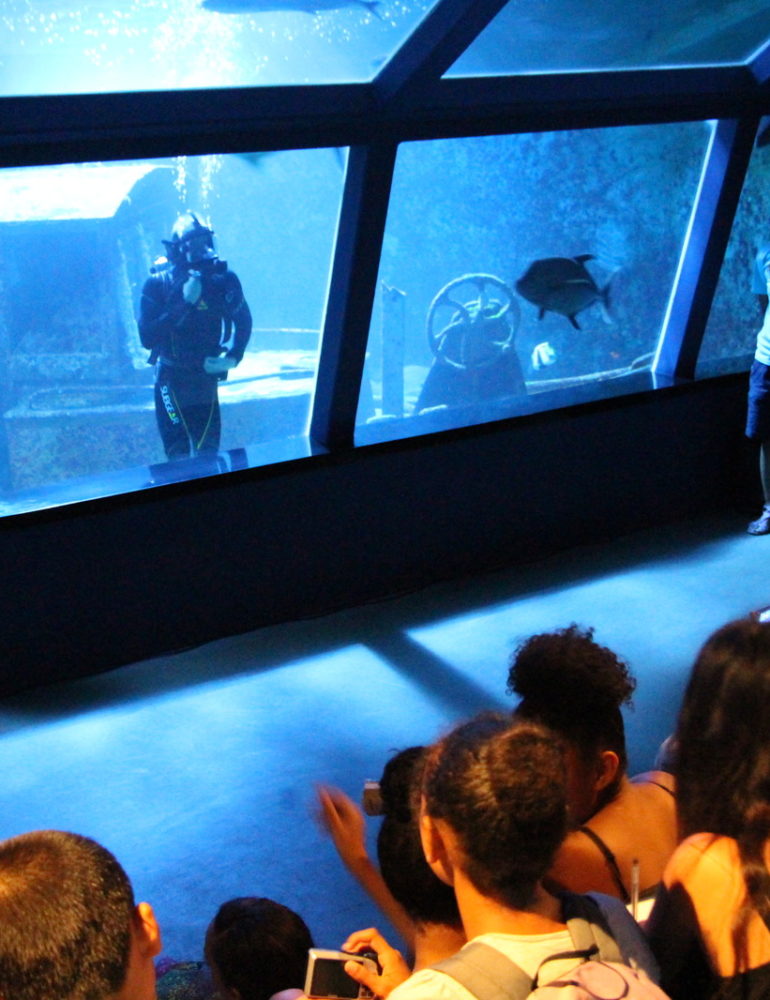 Aquarium de La Réunion : Venez découvrir l’aquarium – Journées Européennes du Patrimoine à la Réunion