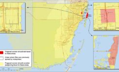 Zika : Les femmes enceintes interdites dans certains quartiers de Miami