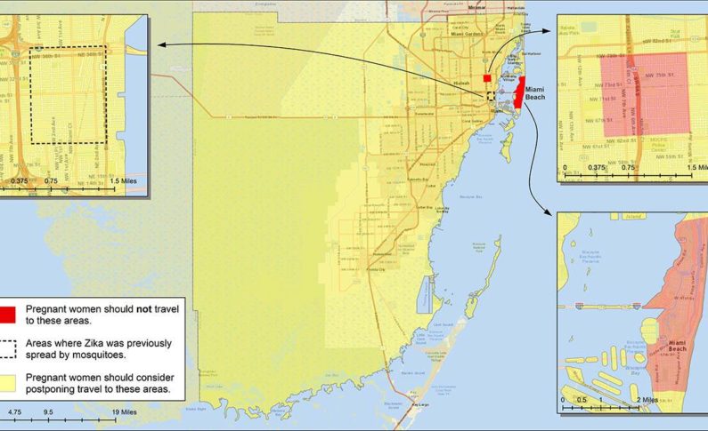 Zika : Les femmes enceintes interdites dans certains quartiers de Miami