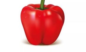 Quel est l'homme politique le plus menteur de l'année 2016 ?