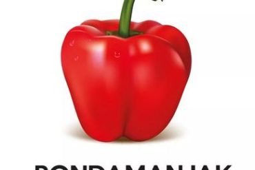 Législatives 2017 : qui remportera la circonscription du Centre Atlantique en Martinique ?