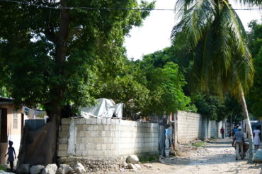 Aides à Haïti : la Martinique oubliée, la Guadeloupe aussi