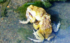 Image du jour [08/10/16] Nature