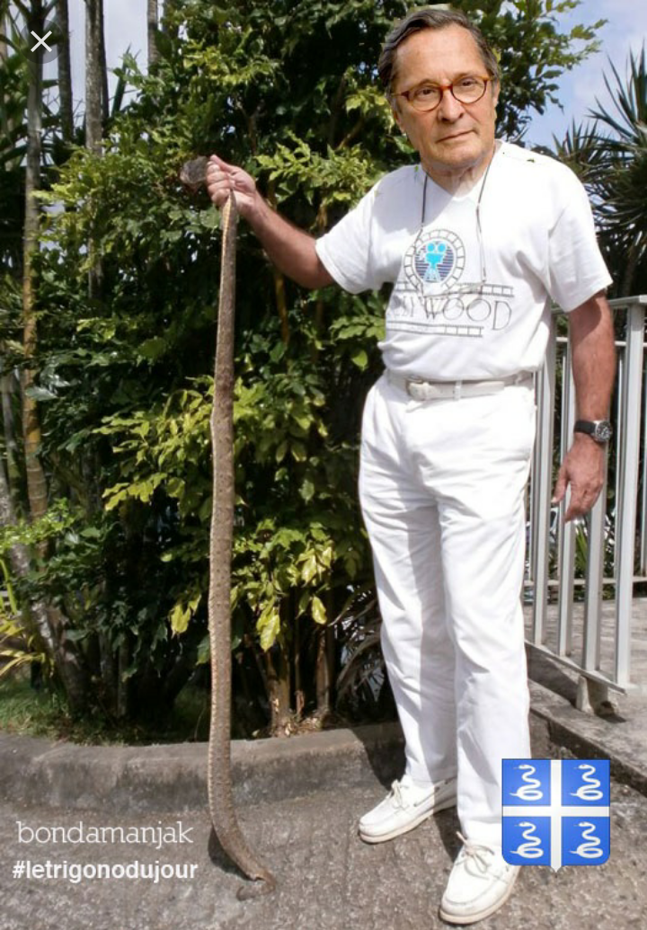 Joyeux Anniversaire En Creole Martiniquais