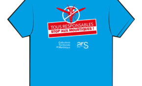 Sus au moustique sang pour sang dangereux