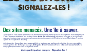 Où sont les cochons ?  😞Yo kay nonm manman'w 😆