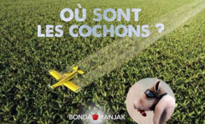 Les vrais cochons aiment les bananes chlordéconées