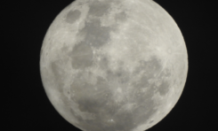 L'image du jour [15/11/16] Super Lune - Super Moon