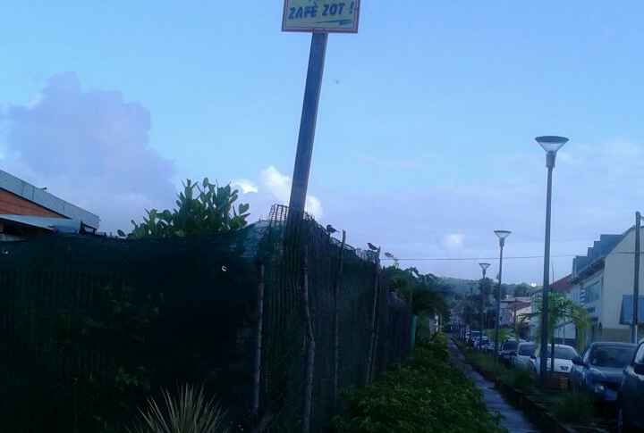 L'image du jour [18/11/16] Martinique