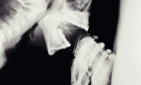 « Quand tu partiras, tu me feras une bonne pipe hein ? »