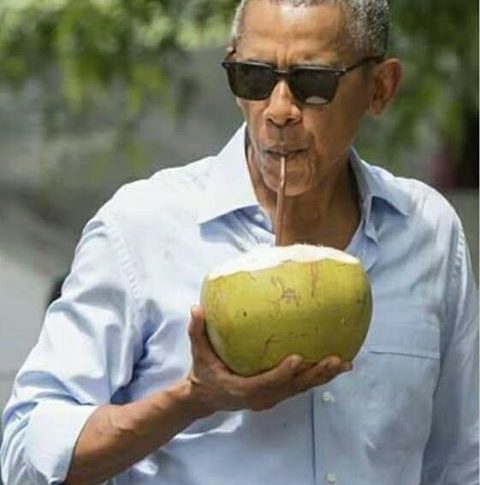Barack Obama like a Coconut Dundee