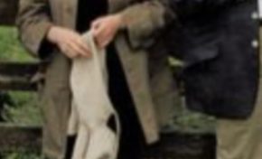 d'anciennes interviews  réalisées par la presse britannique viennent discréditer le discours de François Fillon :sa femme Pénélope   s'ennuyait et voulait étudier!