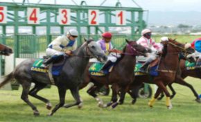 Grand Prix Hippique 2017 à Carrère