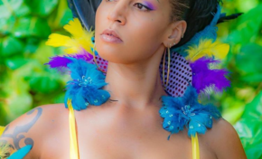 L'image du jour [17/01/17] Carnaval Martinique