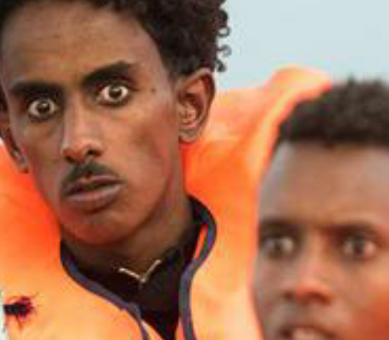 Après l'échec du G20, certains envisagent la création d'un nouveau parti en Martinique