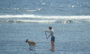 Images du jour 12/02/17 Île de La Réunion