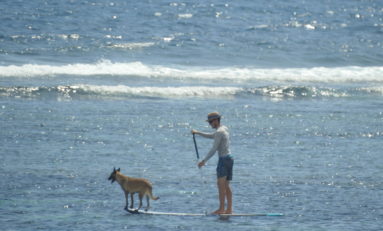 Images du jour 12/02/17 Île de La Réunion