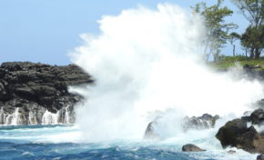 La phrase  du jour [21/02/17] Requin -  La Réunion