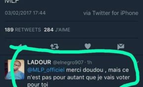 Le tweet de l'année 2017 - Marine Le Pen