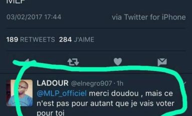 Le tweet de l'année 2017 - Marine Le Pen