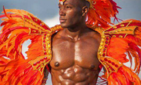 Images de Carnaval - Martinique - Guadeloupe