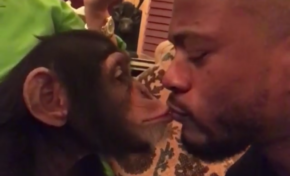 Mets singe in a bottle