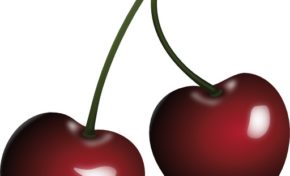 "Nilor, si tu as des couilles...dépose ta plainte pour diffamation contre Bondamanjak...je répète...si tu as des couilles.