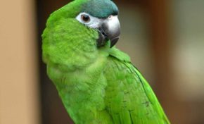 Nouveau rebondissement dans l'affaire Marie-Jeanne