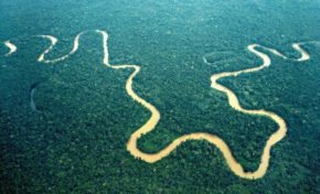 La phrase du jour 13/04/17 - Dédiée au peuple de Guyane