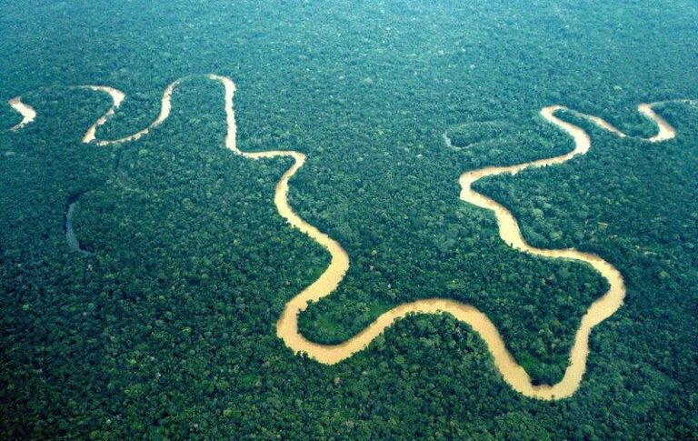La phrase du jour 13/04/17 - Dédiée au peuple de Guyane