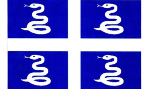 Législatives 2017 : pour bien comprendre ce qui se trame en Martinique