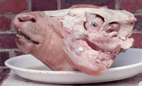 Législatives 2017 en Martinique : quand Alfred Marie-Jeanne renie  et nie Nilor